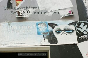 Dresden Neustadt Grumpy Cat