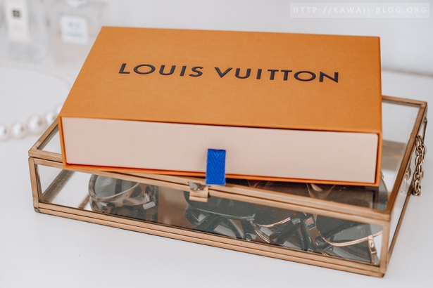 LOUIS VUITTON SARAH Geldbörse Review Deutsch 